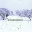 Rammstein Das Modell Формат: CD-Single (Maxi Single) Дистрибьютор: Motor Лицензионные товары Характеристики аудионосителей 2006 г : Импортное издание инфо 10976o.